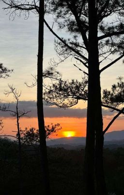 ๐๐๐๐๐ ๐๐๐ ๐๐๐ | ๐๐๐๐๐๐๐พ๐๐๐ฟ