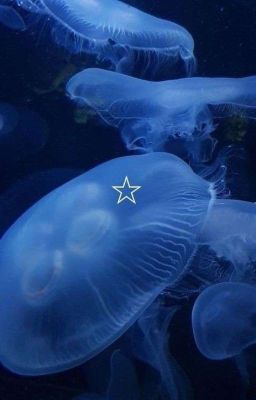 {ᴀʟʟsᴀᴋᴜʀᴀ/ᴀʟʟʜᴀʀᴜᴋᴀ} Hoa Sữa