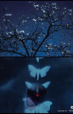 厄夏 ách hạ；隐喻错当证据