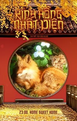 [ 惊鸿一面 | 23:00 ] Home sweet home