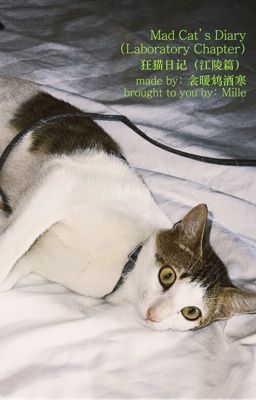 [猫花/chonut] | Mad Cat's Diary (Laboratory Chapter)