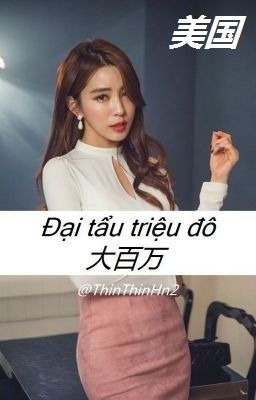 [ 美国 - HOA VƯƠNG] Đại tẩu triệu đô - 大百万
