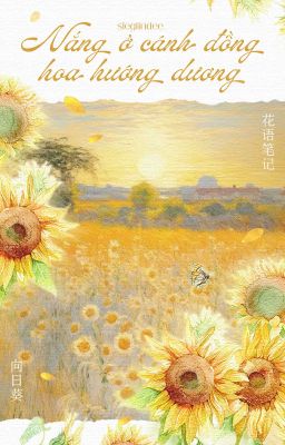[花语笔记 / 18:00] Nắng ở cánh đồng hoa hướng dương