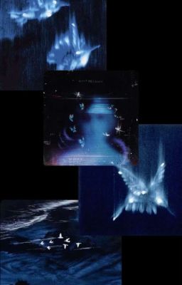 𝐂𝐡𝐨𝐃𝐞𝐟𝐭 ᐟᐟ☆๋࣭  Mèo ngoài ban công