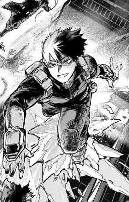 『𝐌𝐇𝐀』Todoroki Shouto x Reader