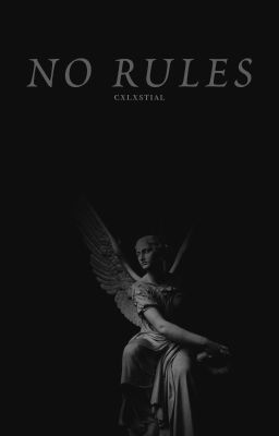 𝐍𝐎 𝐑𝐔𝐋𝐄𝐒 ━━ 𝐭𝐨𝐧𝐲 𝐝𝐢𝐧𝐨𝐳𝐳𝐨