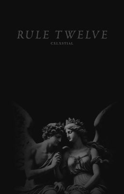 𝐑𝐔𝐋𝐄 𝐓𝐖𝐄𝐋𝐕𝐄 ━━ 𝐭𝐨𝐧𝐲 𝐝𝐢𝐧𝐨𝐳𝐳𝐨