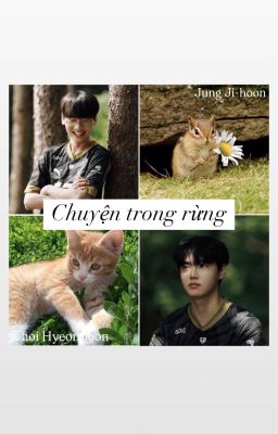 𝑪𝑯𝑶𝑹𝑨𝑵 | Chuyện trong rừng | by Jon