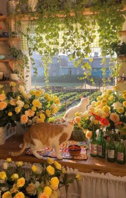 𝑾𝒆𝒍𝒄𝒐𝒎𝒆 𝒕𝒐 𝑫𝒐𝒓𝒐'𝒔 𝑾𝒐𝒓𝒍𝒅