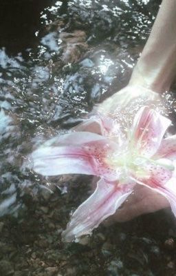 𝒐𝒏𝒓𝒂𝒏 ᝰ.ᐟ trăng nương gối ngả.
