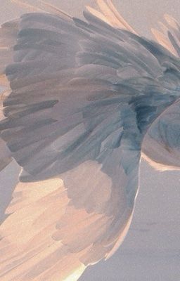 ⌈𝒖𝒔𝒉𝒊𝒐𝒊⌋ ❧ đọa lạc thiên sứ 🪽
