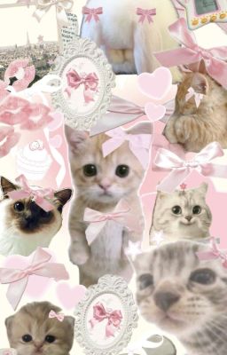 𝓓𝓮̂𝓶 𝓷𝓪𝔂 𝓵𝓪̣𝓷𝓱 𝓵𝓪̆́𝓶 𝓷𝓰𝓾̛𝓸̛̀𝓲 𝓸̛𝓲 💫 ( AllNegev )