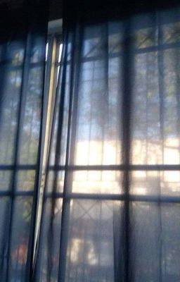 𝕭𝖔𝖔𝖐 𝖔𝖋 𝕿𝖍𝖗𝖊𝖘𝖍𝖔𝖑𝖉𝖘