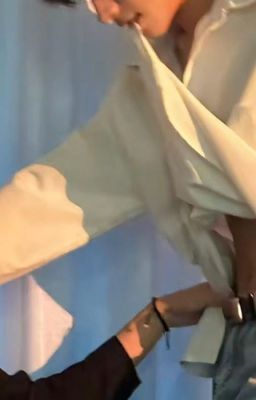 𝕯𝕲._. cáo chín đuôi