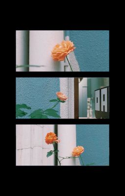 𝙷𝚒𝚎𝚞𝚜𝚘𝚕/𝙳𝚞𝚘𝚗𝚐𝚜𝚘𝚕⤳Khoảnh Khắc