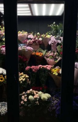 (𝙾𝚗𝟸𝚎𝚞𝚜)  𝚃𝚑𝚞𝚗𝚍𝚎𝚛 𝚋𝚕𝚘𝚘𝚖